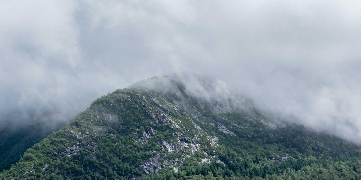 Dakar Rally Saudi Arabia