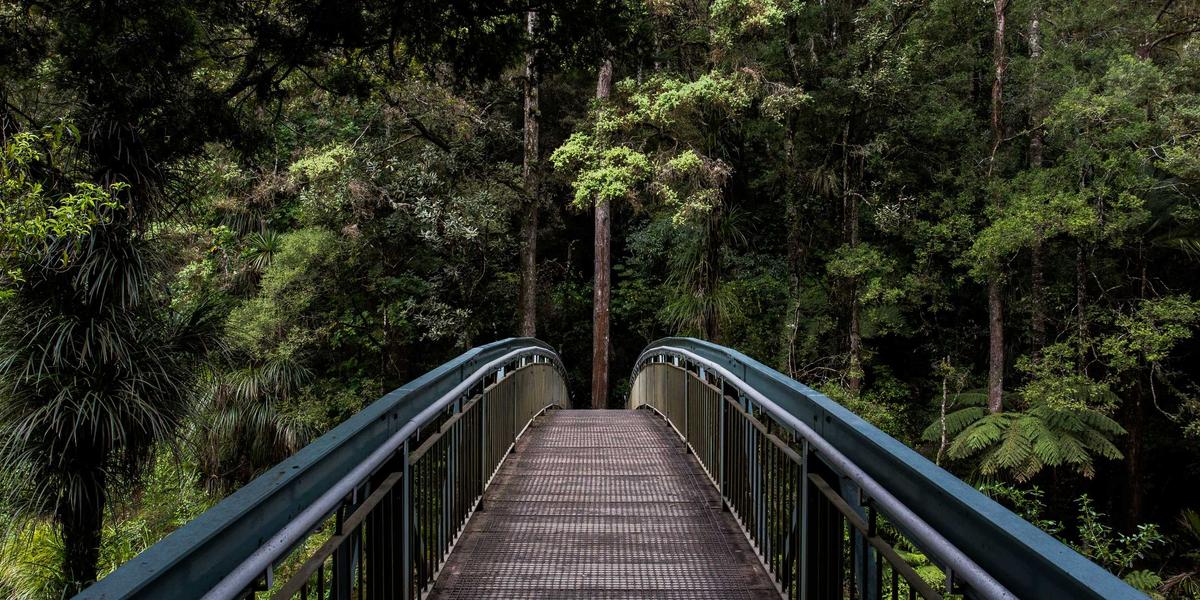 ليلة الجاز والبلوز