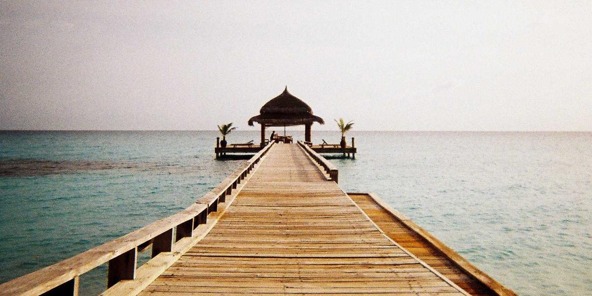 مهرجان الطعام العالمي